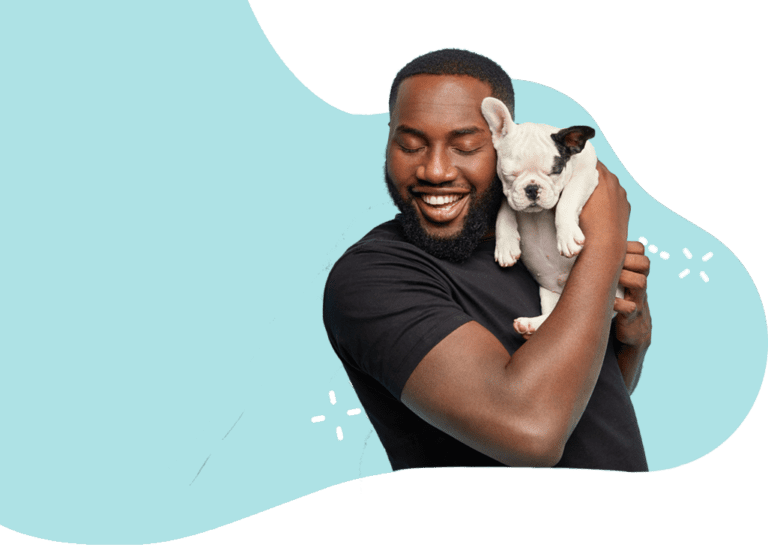 Book a Pet Flight Nanny QT Pet Transportation