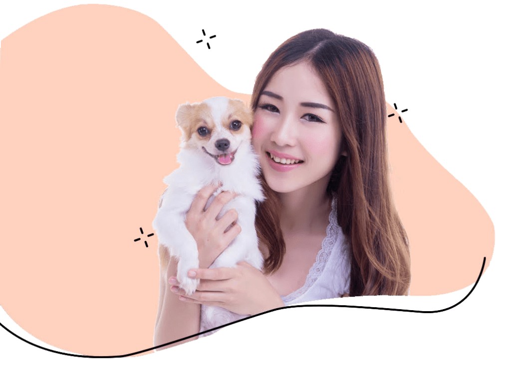 Flight Nanny Jobs Join Us Flight Nanny QT Pet Transport