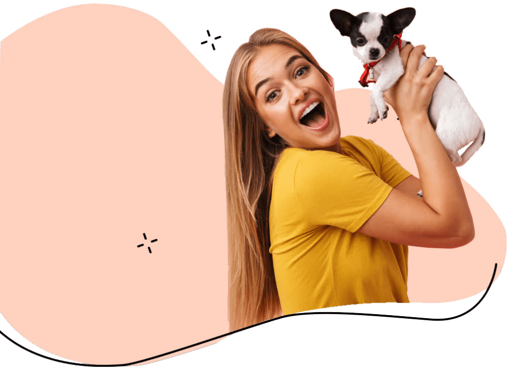 Preparing for Arrival Flight Nanny QT Pet Transport