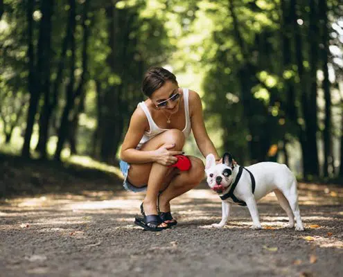 positive reinforcement techniques