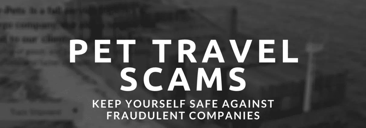 pet transportation company scams