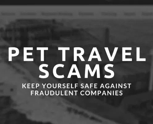 pet transportation company scams