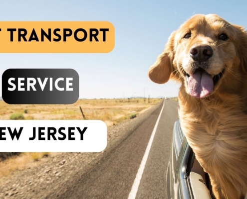 pet transport service new jersey