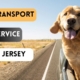 pet transport service new jersey