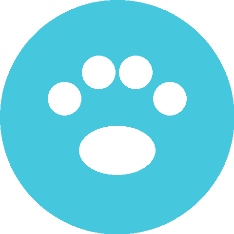 QT Pet Transport