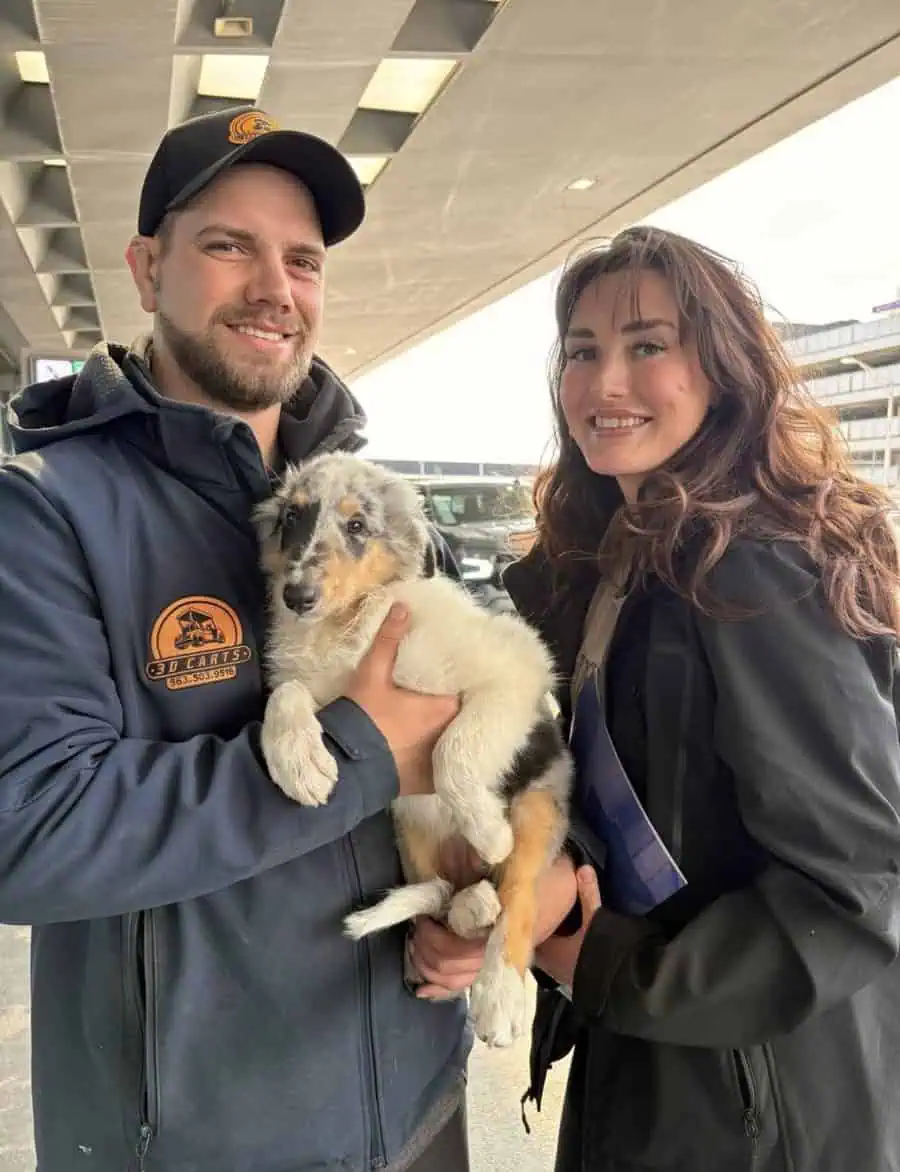 Couple holding their Australian Shepherd puppy at airport pickup