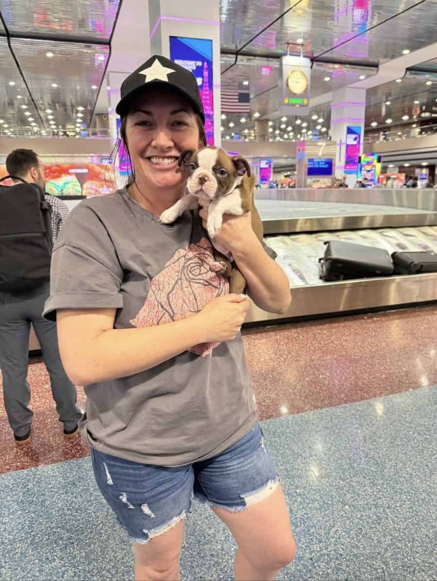 Happy traveler holding a Boston Terrier puppy at baggage claim